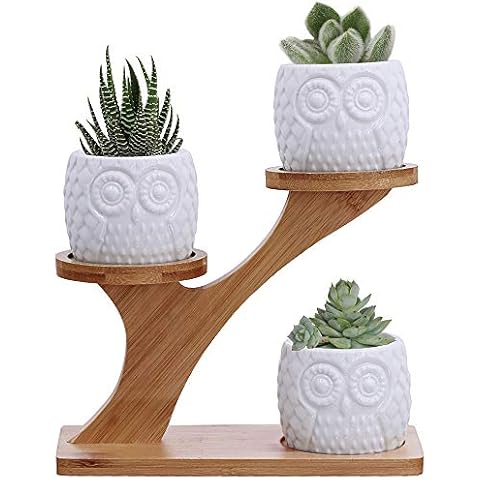 3pcs Owl Succulent Pots with Bamboo Stand Cover