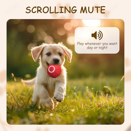 Magic Ball Hund, Interaktiver Spielball für Hunde, Magic Ball für Hunde, Smart Hundeball Elektrisch, 2 Interaktiven Modi, Wiederaufladbar Über USB, für Welpen, Klein und Mittel (Rot)
