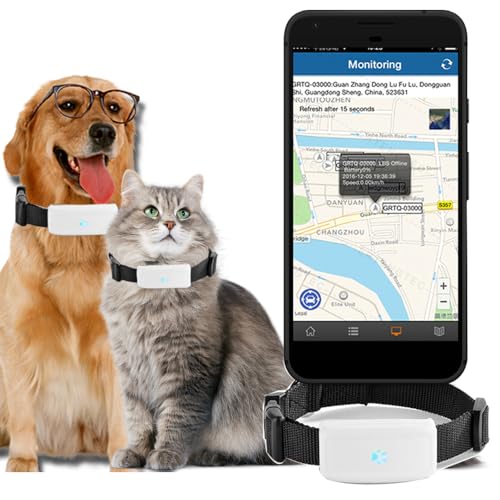 Localizador GPS Perros con Valla de Seguridad Segu...