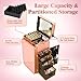 Rolling Manicure Table with LED Mirror, Portable Nail Desk Mobile Nail Station w/ Wrist Pad, Acrylic Case, Foldable Desk, & 4 Drawers, Travel Makeup Case Cosmetic Trolley on Wheels, Rose Gold