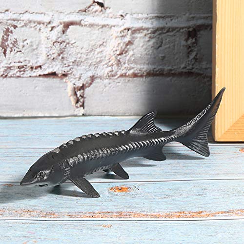 Stör Fisch Modell Ozean Tier Figur Spielzeug, Home Decor, Markt Display Kunststoff für Home Decor (M-1528 Chinesischer Stör)