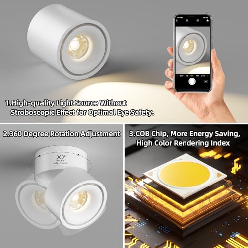 Image of ziidoo Spotlight Indoor Ceiling LED Lights,12W Modern Spot Light Fixtures 4000K White Lamp 360Adjustable Picture Wall Sconce for Living Room Hallway Gallery Flush Mount Directional (mid, Count, 1)
