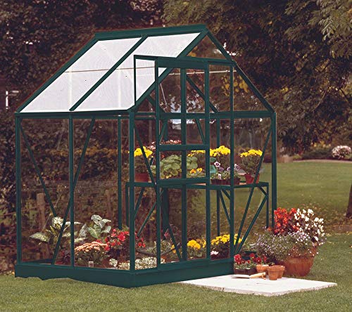 Preisvergleich Produktbild Vitavia Planet 2500 ESG 3mm smaragd mit einem Dachfenster Gewächshaus klassisches Modell