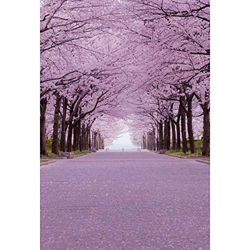 Qinunipotoビニール1m x 1.5m桜ストリート写真背景ピンク桜花の木花大通り写真の背景結婚式休日パーティーの装飾愛好家の肖像画写真の小道具 Qinunipotoビニール1m x 1.5m桜ストリート写真背景ピンク桜花の木花大通り写真の背景結婚式休日パーティーの装飾愛好家の肖像画写真の小道具