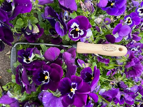 DeWit-Right-Hand-Cape-Cod-Weeder-with-Short-Handle