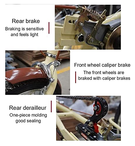 ZJZ Volwassen driewielers 20 inch 3-wielige fiets met winkelmandje Trike fiets voor winkelen picknick buitensporten… - Afbeelding 5