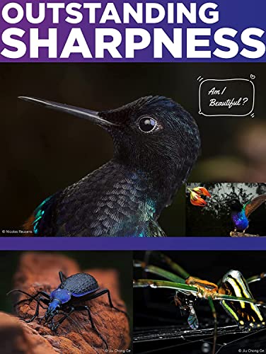 wotsun Venus Laowa 90mm f/2.8 2X ウルトラマクロAPOレンズ Canon RFマウントカメラ用 ブラック