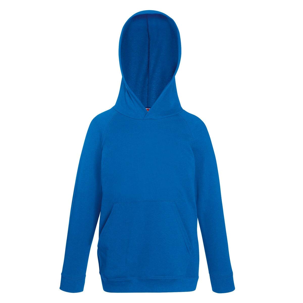 Fruit of the Loom Childrens Unisex Lightweight Hooded Sweatshirt/Hoodie (14-15) (Royal)