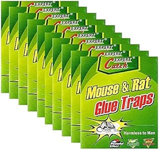 Catch Expert Mouse and Rat Glue Traps. Powerful Effect and Harmless to Human or Environment. Can Catch All Kinds of Small Reptiles Rodents Snakes Cockroaches Spiders and Other Pests (10)