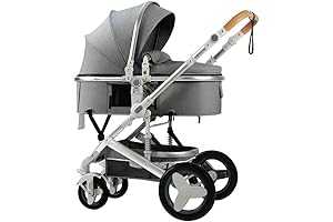 2-in-1 Baby Stroller with Bassinet