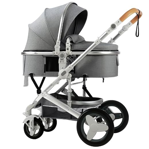 Petit B612 Luxury Baby Stroller 2 in 1 with Bassinet Mode Foldable Infant Stroller High Landscape Reversible Stroller Travel Pram Baby Carriage (Grey)