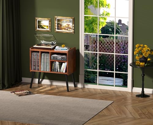 Record Player Table, Mid-Century Nature