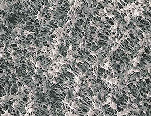 Advantec MFS H010A090C, Hydrophilic Membrane Filter, 90 mm Diameter, 35 µm Thickness, 0.10 mm, PTFE (Pack of 25)