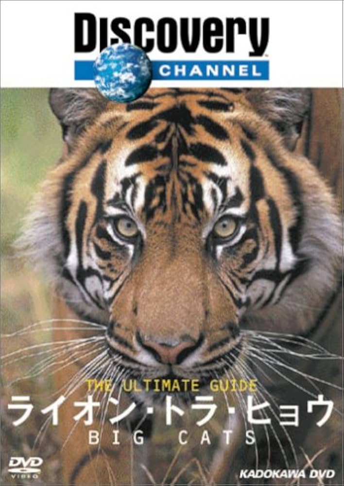 ディスカバリーチャンネル DVD ６枚セット Amazon.co.jp: ディスカバリーチャンネル The Ultimate Guide