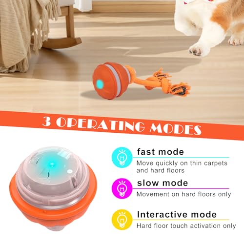 TZQFROCE Interaktives Hundespielzeug Hunde Ball Spielzeug Automatisch Rollender Ball für Hunde interaktiver Hundespielball für Aktivitäten und Unterhaltung