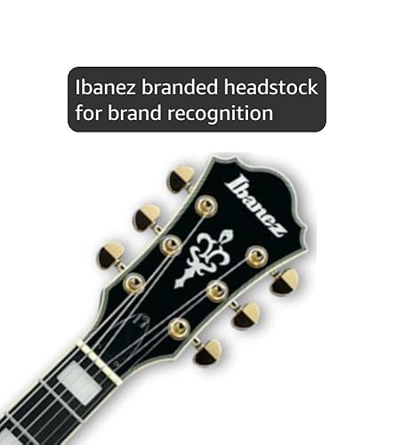 Amazon.com: Ibanez Artcore Expressionist AM93QM - Jet Blue Burst