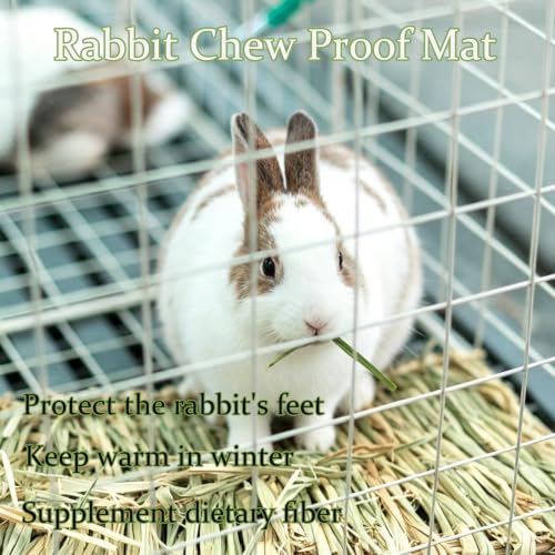 Image of 4 Pcs Natural Rabbit Grass Mats Chewable Bedding 11''x8.3''