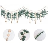 lokeisna 67" Hanging Eucalyptus Wall Decor, Boho Wall Decor with Round Wooden & Tassel Vines, Durabl