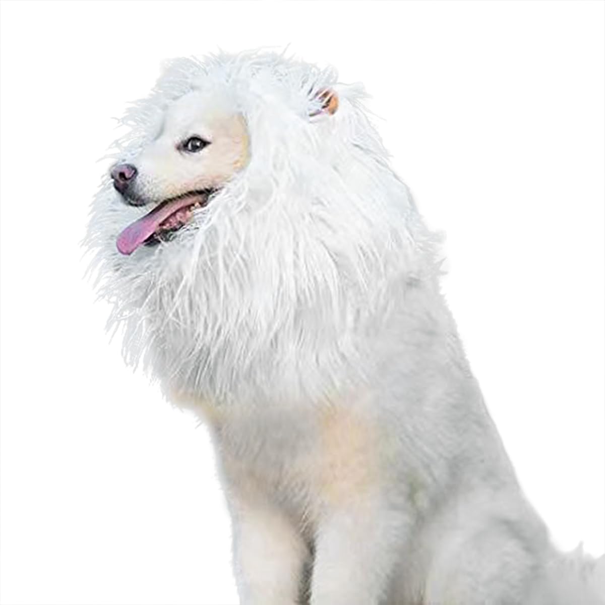 Crinière de lion pour chien en tissu doux pour un costume sans stress