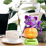 Zoom IMG-2 generico dashboard solar dancing toys Zoom IMG-2 generico dashboard solar dancing toys