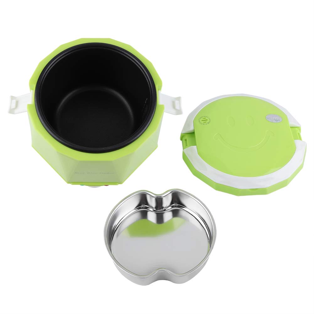 BigKing Arrocera Eléctrica Portátil Multifunción de 24 V, 140 W, 1,6 L para Camiones (Verde)