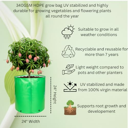 Image of 24x24 Inch HDPE Grow Bag (340 GSM) | UV Protected, Reusable, Heavy Duty Garden Bag for Vegetables, Fruits & Big Trees - Pack of 2