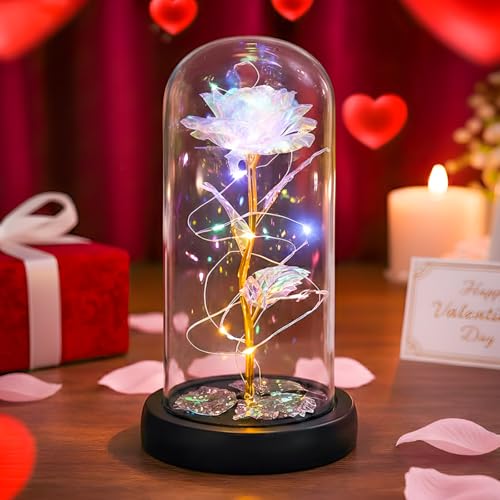 TIED RIBBONS Decorative Flower Valentine Day Gift for Girlfriend Boyfriend Husband Wife Birthday Anniversary Engagement Gifts - Artificial Forever Rose Gift Decorative Light up Rose in Glass Dome