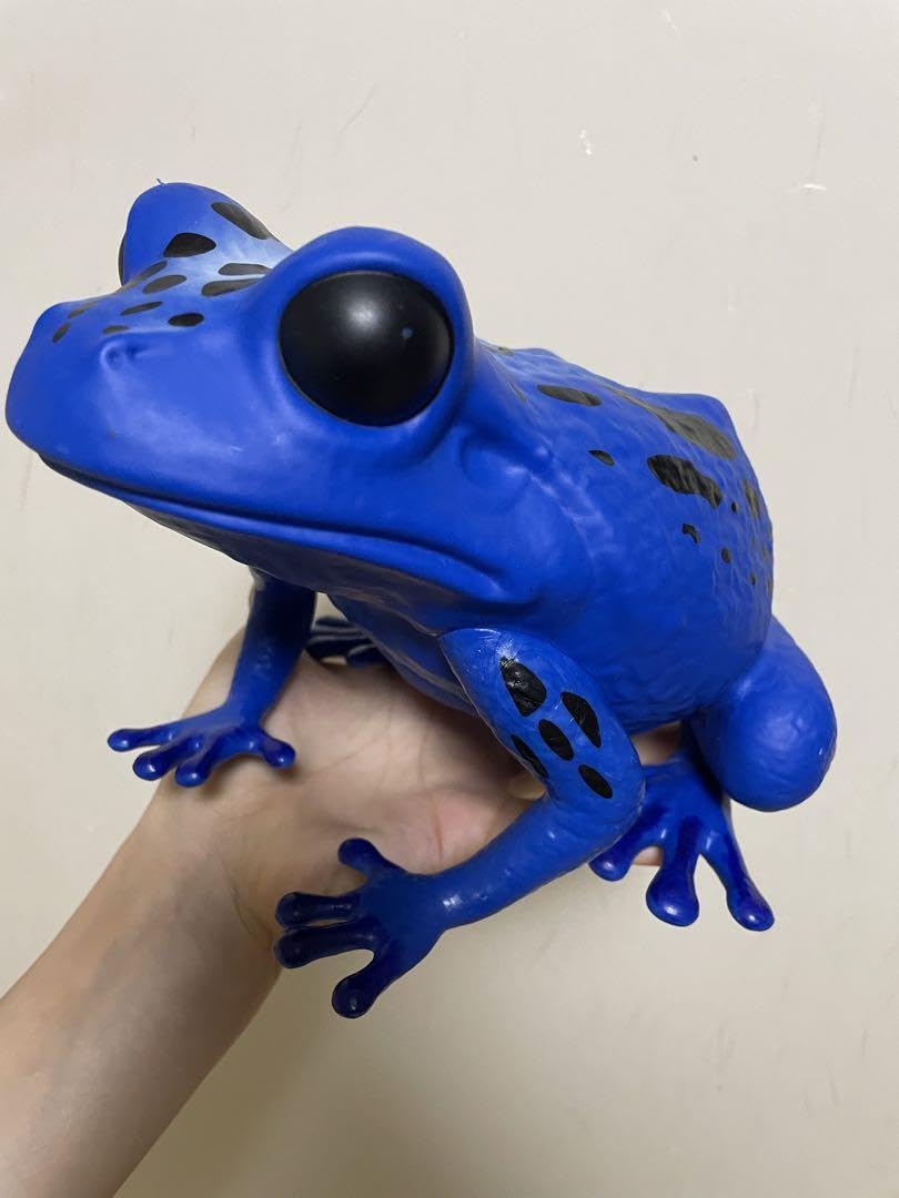 Amazon.co.jp: 毒ガエル 置き物 : おもちゃ