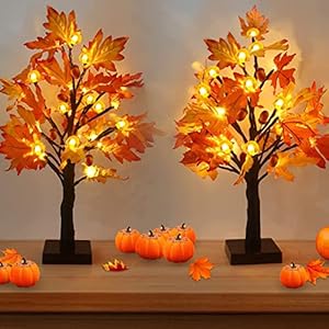 Fallmapletreewith48ledsbatteryoperatedlightupartificialpumpkinsmapleacorntreeforfallthanksgivingtableharvesthomeindoordecoration2pack Urban Country Home Decor Fall maple tree with 48 leds battery operated light up artificial pumpkins maple acorn tree for fall thanksgiving table harvest home indoor decoration 2 pack urban country home decor