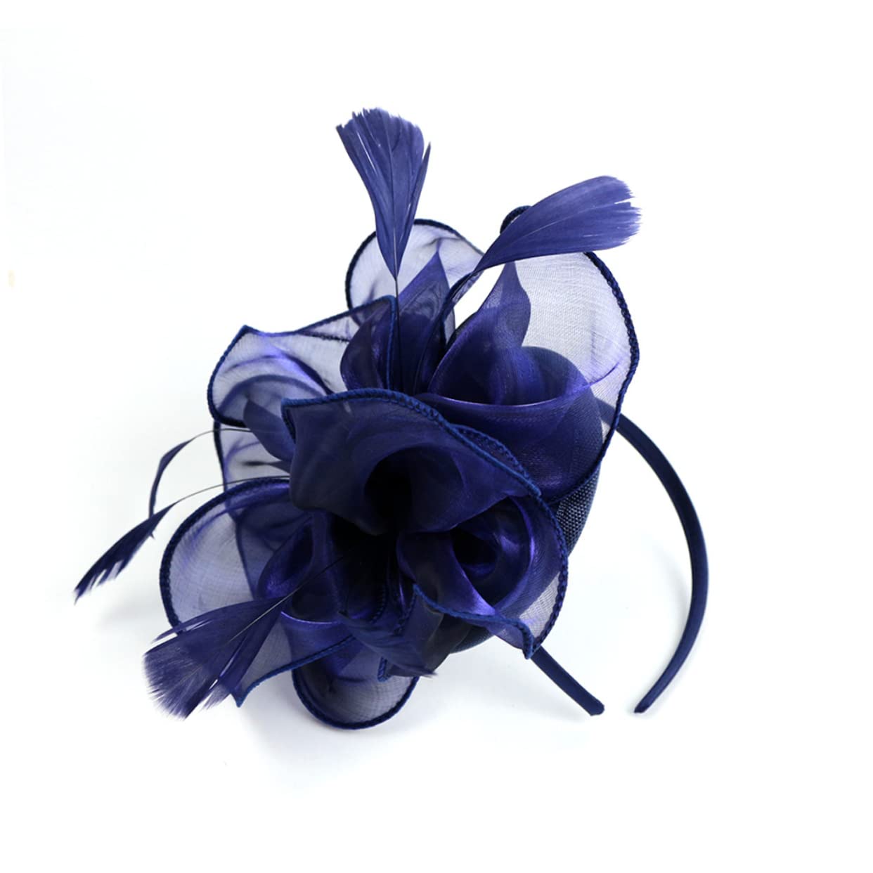 FRCOLOR 3pezzi Fascinator Elegante Organza Con Piume Per Matrimonio e Occasioni Speciali Accessorio Per Donne e Ragazze