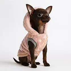 Roupa Pet Pijama Para Pinscher Filhote Gato Frio Quentinha Brilha no Escuro Com Touca Confortavel (Tamanho único, Fêmea)