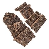 Toyvian 10 Piezas Plataforma de Natural para Reptiles Decoración para Terrarios y para Entrenamiento y de Mascotas Pequeñas