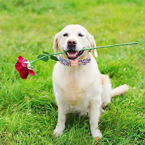 Unique Style Paws Dog Collar With Metal Buckle - Red Rose Flower Gift for Small, Medium, Large Boys Girls Dogs - Durable and Cute #4