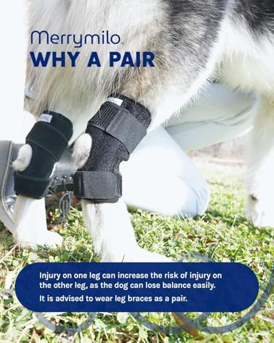 Image of Dog Leg Brace for Rear Hock & Ankle, Canine Hind Leg Joint Compression Wrap for Torn ACL & CCL, Injury and Sprain Protection, Wound Care and Loss of Stability 1 Pair, Size: Small