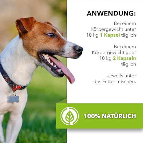 Saint Nutrition® Zeckenix – Zeckentabletten für Hunde – Zeckenschutz Hund - Futterergänzung mit natürlichen Inhaltsstoffen – Ohne künstliche Zusätze – 60 Tabletten für Katzen und Hunde