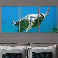 3 Piece Framed Canvas Wall Art Turtle Under The Surface Canvas Prints Home Artwork Decoration for Living Room,Bedroom - 16