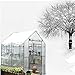 HAO KEAI Serre de Jardin PE Plastique Tente abri Garden Greenhouses Garden Walk Hiverhouse avec fenêtres de Ventilation, PE Greenhouse avec étagères, Plantes de Jardinage extérieur d'hiver