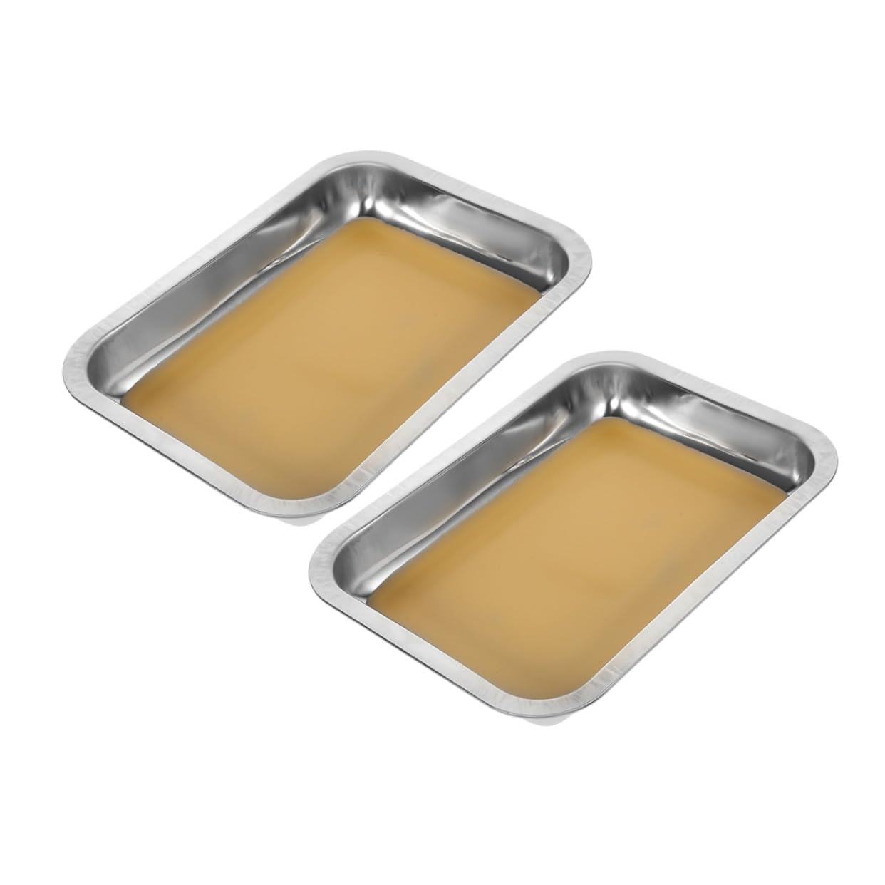 FRCOLOR 2pezzi Vassoio Per Dissezione in Acciaio Inox Pz Piastra Rivestita in Cera Vassoio Da Laboratorio in Dimensioni Per Esperimenti Di Biologia e Insegnamento