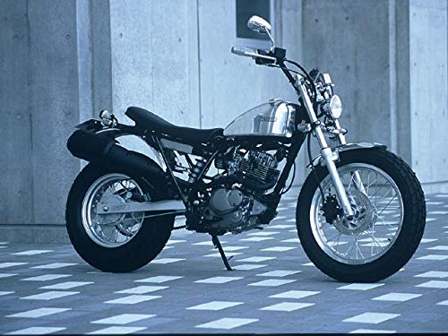Amazon | ビッグシーダー アルミタンクTYPE-4 バンバン200
