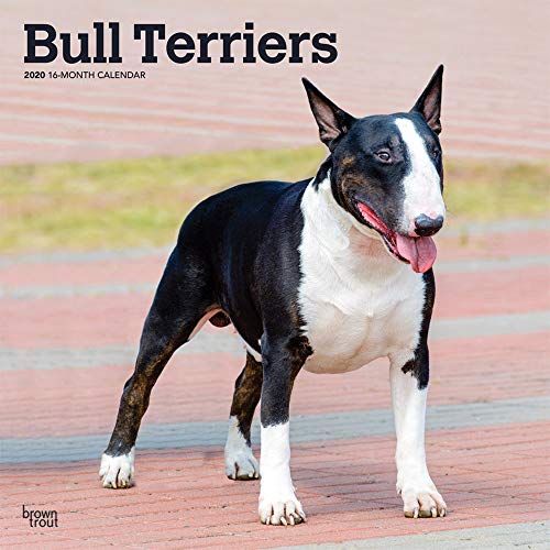 Télécharger Bull Terriers 2020 Calendar Francais PDF