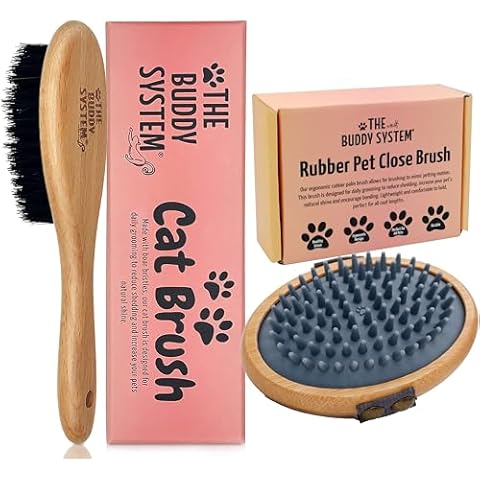 The Buddy System Cat Brush with Boar Bristle and Wooden Handle and Pet Close Brush, Soft Touch Oval Palm Brush Cover
