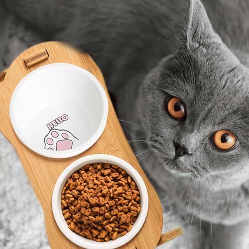 Smavles 2 Keramikschüsseln Katzennapf Erhöht, 15° Neigung Futterstation Katzen, Hundenapf Erhöht, Katzen Futternapf Erhöht für Katzens Welpen kleine Hunde und Nahrung Wasser