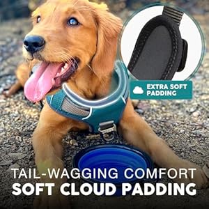 Embark-Adventure-Dog-Harness-No-Pull-Dog-Harness-with-2-Leash-Clips-Dog-Harness-for-Large-Dogs-No-Pull-Front-Back-with-Control-Handle-Adjustable-Blue-Dog-Vest-Soft-Padded-for-Comfort - Cucciolini Doodles   Embark-Adventure-Dog-Harness-No-Pull-Dog-Harness-with-2-Leash-Clips-Dog-Harness-for-Large-Dogs-No-Pull-Front-Back-with-Control-Handle-Adjustable-Blue-Dog-Vest-Soft-Padded-for-Comfort