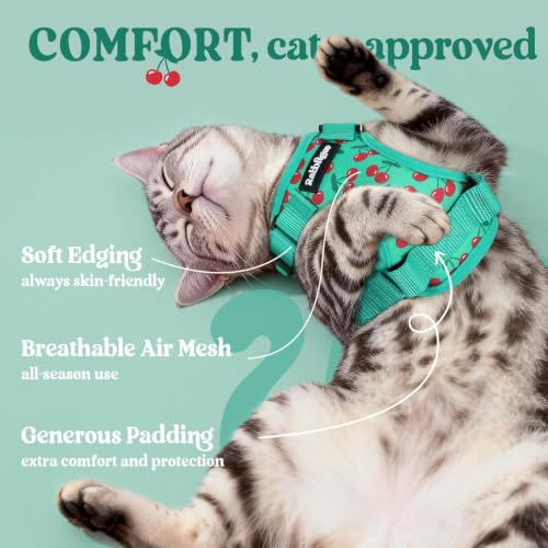 Image of rabbitgoo Cat Harness and Leash Set, Escape Proof Vest, Cherry Grove