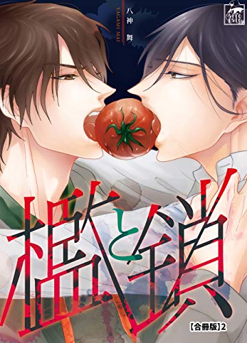 檻と鎖【合冊版】2 (アフォガードコミックス)