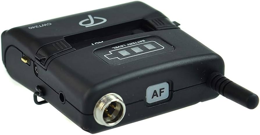 Classic Pro CWR241 CWT240 充電器付き Classic Pro CWR241 CWT240 充電器付き 楽器・機材