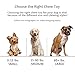 oneisall Durable Dog Chew Toys Bone Chew Toy for Puppy Dogs— Indestructible for Aggressive Chewers L