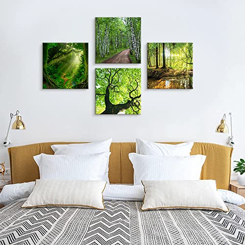 Soleebee 4 Teilig Premium Poster Set mit Hohe Qualität Rahmen, Kunstdruck Bilder Leinwandbilder Deko Home Deko für Schlafzimmer und Wohnzimmer 30 x 30 cm - Wald