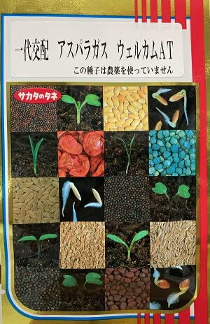 Amazon.co.jp: サカタ 【種子】一代交配 アスパラガス ウェルカムAT