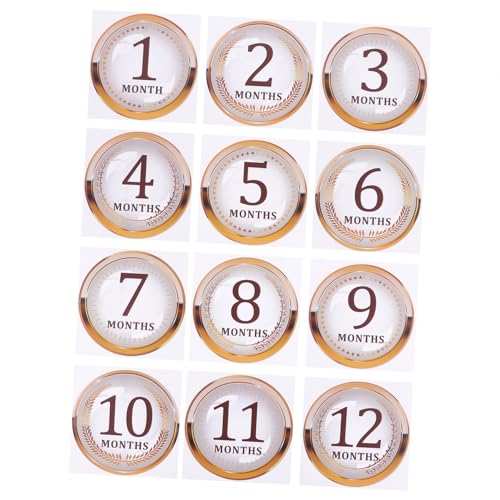 Ipetboom 1 Zbg xr[XebJ[ \̏̃XebJ[ VXebJ[ VXebJ[ V̏̎q j ʐ^XebJ[ ̎ʐ^̏ _